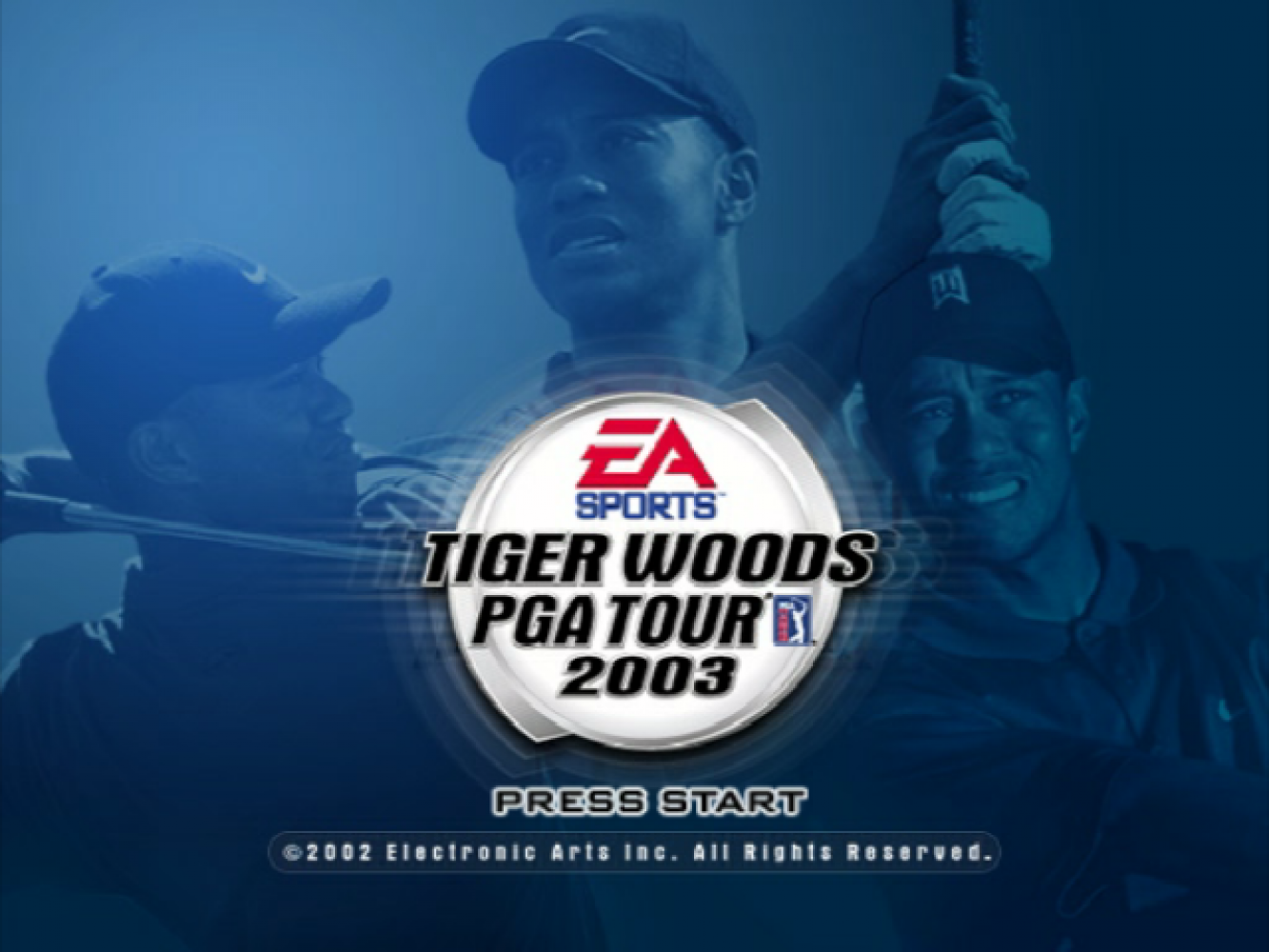 Tiger Woods PGA Tour 2003